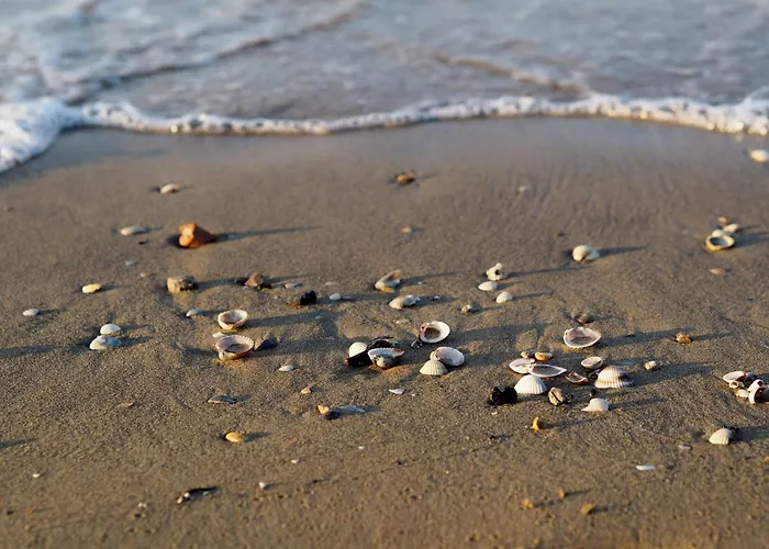 Warm Two-room Flat With Balcony Near The Apartment