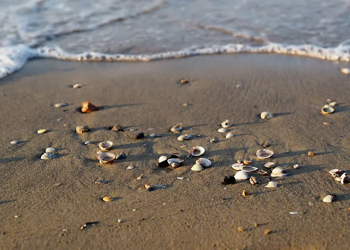 Warm Two-room Flat With Balcony Near The